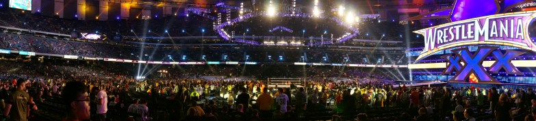 WrestleMania_XXX_panorama