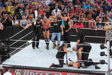 rsz_ghm42898-650x433